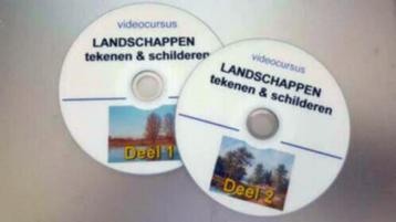 7 dlg. SCHILDER CURSUS op DVD beschikbaar voor biedingen