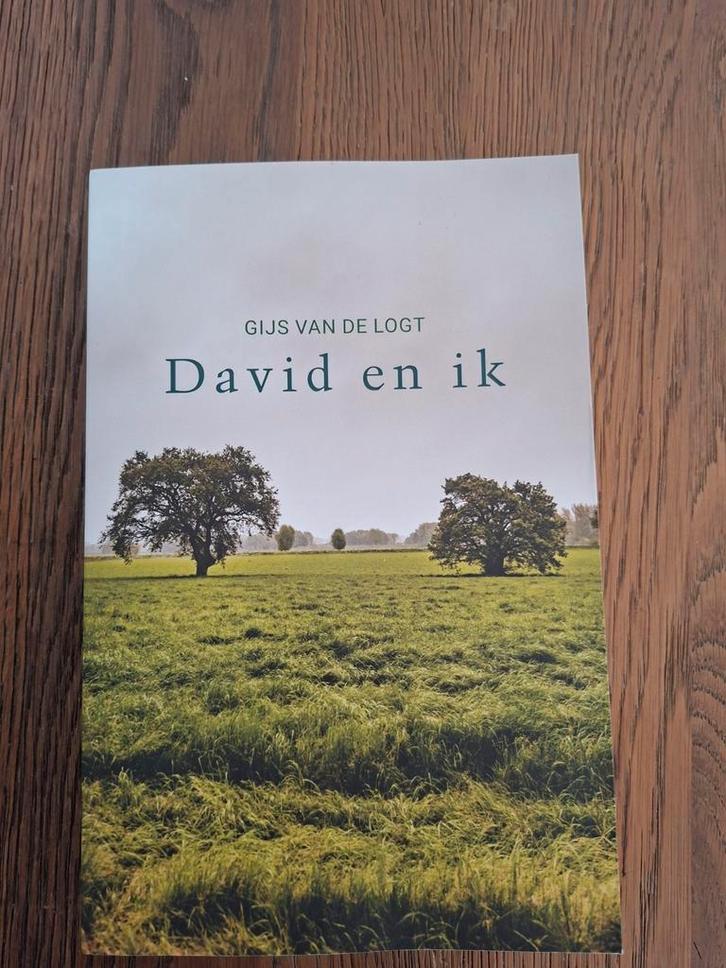 Gijs van de Logt - David en ik, Boeken, Literatuur, Gelezen, Ophalen of Verzenden