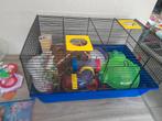 Dwerghamsterkooi met toebehoren, Dieren en Toebehoren, Minder dan 60 cm, Kooi, Minder dan 75 cm, Ophalen of Verzenden