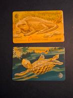 2 telefoonkaarten Britse maagden Eilanden, Ophalen of Verzenden, Buitenland