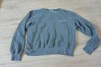 Zara - Lichtgrijze trui - S, Zara, Ophalen of Verzenden, Maat 36 (S), Grijs