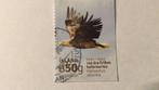 (21347) IJSLAND, 2014, vogels, roofvogel, Ophalen of Verzenden, IJsland