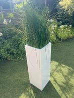 Hoge vierkante plantenbak met nepplant, Huis en Inrichting, Ophalen, Gebruikt, Binnen