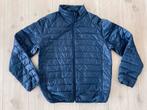 Blauw gewatteerd jack, maat XL, Ophalen of Verzenden, Zo goed als nieuw, Maat 56/58 (XL), Blauw
