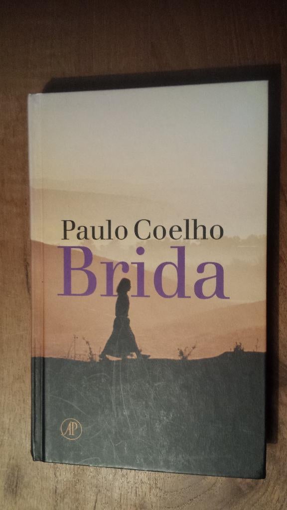 Paulo Coelho - Brida, Boeken, Literatuur, Zo goed als nieuw, Wereld overig, Ophalen of Verzenden