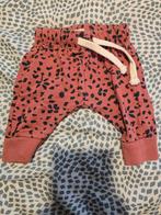 Broekje met print - Maat 50, Kinderen en Baby's, Babykleding | Maat 62, Broekje, Meisje, Ophalen of Verzenden, Zo goed als nieuw