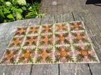 Set van 12 art nouveau wandtegels, decor in relief, Antiek en Kunst, Ophalen