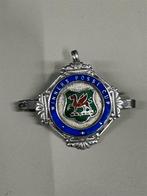 Speldje Winners rossi cup, Ophalen of Verzenden, Zo goed als nieuw, Overige onderwerpen