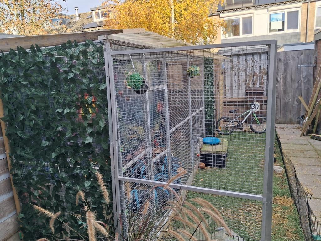 Vogel voliere konijnen hok katten ren eekhoorn verblijf, Dieren en Toebehoren, Vogels | Hokken en Kooien, Ophalen, Hout, Volière