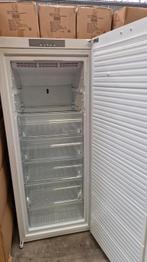 Privileg PFVN 74 A+++

Vrieskast no Frost 309L, Witgoed en Apparatuur, Vriezers en Diepvrieskisten, Gebruikt, 160 cm of meer, Ophalen