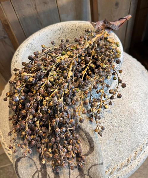 Dadeltak / kunsttak Nieuw, Huis en Inrichting, Woonaccessoires | Kunstplanten en Kunstbloemen, Nieuw, Ophalen of Verzenden