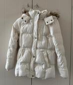 Nette Esprit dames winterjas maat M, Maat 38/40 (M), Wit, Ophalen of Verzenden, Zo goed als nieuw