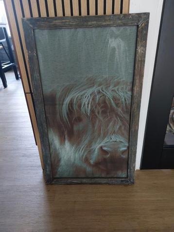 Mooi stoer schilderij  beschikbaar voor biedingen