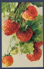 Illustrator aardbei, Verzamelen, Ansichtkaarten | Themakaarten, Verzenden, Voor 1920, Ongelopen, Natuur