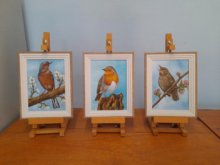 Schilderij vink roodborstje winterkoninkje 3 voor €99 vogels, Antiek en Kunst, Kunst | Schilderijen | Modern, Ophalen of Verzenden