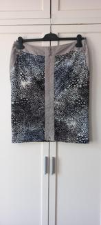 Lisa Campione rok maat 42 zgan, Kleding | Dames, Rokken, Lisa Campione, Ophalen of Verzenden, Zo goed als nieuw, Maat 42/44 (L)