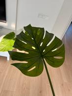 IKEA kunstplant Monstera stengel - GRATIS, Huis en Inrichting, Kamerplanten, Ophalen, Overige soorten, Minder dan 100 cm