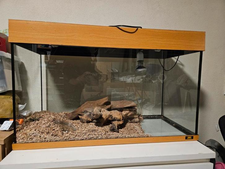Leeg terrarium / aquarium 80*35*50, Dieren en Toebehoren, Reptielen en Amfibieën | Toebehoren, Gebruikt, Terrarium of Paludarium