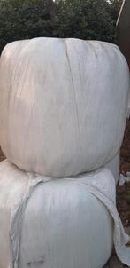 Baaltjes, Ophalen of Verzenden, Vee