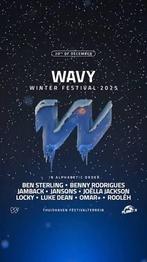 WAVY WINTER FESTIVAL, Tickets en Kaartjes, Twee personen