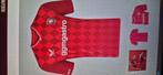 Gezocht fc twente shirt van dit seizoen maat l overijssel, Ophalen of Verzenden, Zo goed als nieuw, Shirt