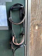 hoofdstel rose gold, Ophalen of Verzenden, Gebruikt, Dressuur