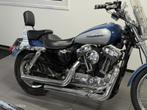Harley Davidson XL 1200C Sportster Custom, Motoren, Motoren | Harley-Davidson, Chopper, Bedrijf, 1202 cc, Meer dan 35 kW