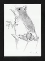 Veldmuis Knaagdier Rozenbottel Pentekening, Hinke v.d. Meer., Verzamelen, Ansichtkaarten | Dieren, Ophalen of Verzenden, 1980 tot heden