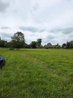 Weidegang, Dieren en Toebehoren, Stalling en Weidegang, Weidegang