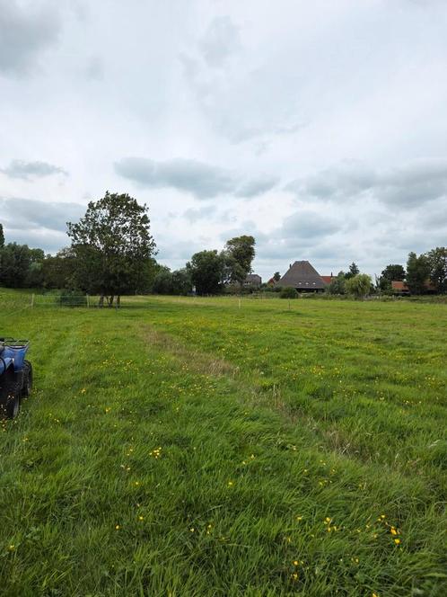 Weidegang, Dieren en Toebehoren, Stalling en Weidegang, Weidegang