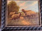 schilderij “Schapen” van Henry Schouten, Ophalen of Verzenden