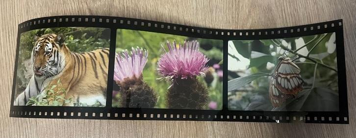 Fotodrieluik om je mooie foto's een leuk accent te geven, Audio, Tv en Foto, Fotoalbums en Accessoires, Nieuw, Ophalen of Verzenden