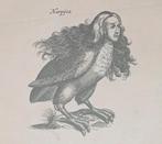 Leuke oude prent met vogel figuren 20e eeuw, Verzenden, 1960 tot 1980, Gebruikt