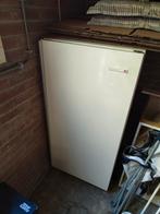 Horeca vriezer, Ophalen, Vrijstaand, 60 tot 90 cm, 160 cm of meer