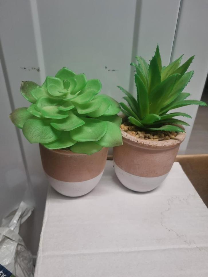 Kleine nepplantjes in pot - 15cm, Huis en Inrichting, Woonaccessoires | Kunstplanten en Kunstbloemen, Nieuw, Binnen, Ophalen of Verzenden