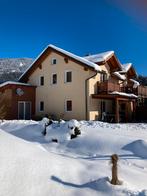 Wintersport met de krokus/carnavalsvakantie in Oostenrijk., Vakantie, 8 personen, 4 of meer slaapkamers, Dorp, Open haard