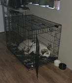 Grote bench te koop, Dieren en Toebehoren, Ophalen, Zo goed als nieuw, 75 tot 110 cm, Minder dan 65 cm