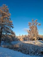 Schaatsverblijf in de Weerribben, Ophalen, Overige typen, Overige merken