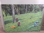 Canvas theepluksters in Sri Lanka 75x100 cm, Huis en Inrichting, Ophalen, Gebruikt