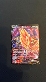 Zamazenta v asr tg22, Ophalen, Zo goed als nieuw