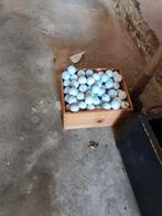 golfballen lakeballs bekende merken, Ophalen, Gebruikt, Bal(len), Overige merken