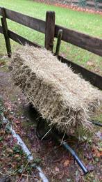 Kleine baaltjes hooi, Dieren en Toebehoren, Ophalen of Verzenden, Vee