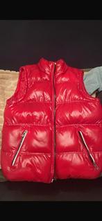 Winter jas, Kleding | Dames, Jassen | Winter, Ophalen of Verzenden