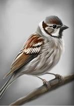 Canvas Prent A4 Mus, 1980 tot heden, Nieuw, Ophalen of Verzenden, Dier