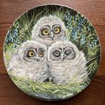Wedgwood 16,9cm Dick Twinney The baby owls, Ophalen of Verzenden