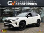 Toyota RAV4 2.5 Hybrid Style Two Tone|Camera|Elek a klep|Sto, Stof, Gebruikt, Euro 6, 4 cilinders