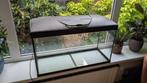 Terrarium / aquarium met deksel en verlichting, Dieren en Toebehoren, Reptielen en Amfibieën | Toebehoren, Ophalen, Zo goed als nieuw