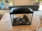 Superfish aquarium met toebehoren, Ophalen of Verzenden, Gebruikt, Leeg aquarium