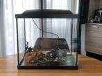 Aquarium SuperFisch 50 + extra's, Dieren en Toebehoren, Ophalen, Zo goed als nieuw, Leeg aquarium