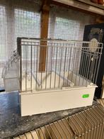 Zangkooitje, Ophalen, Zo goed als nieuw, Metaal, Vogelkooi